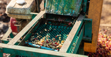 Ingeniería y diseño