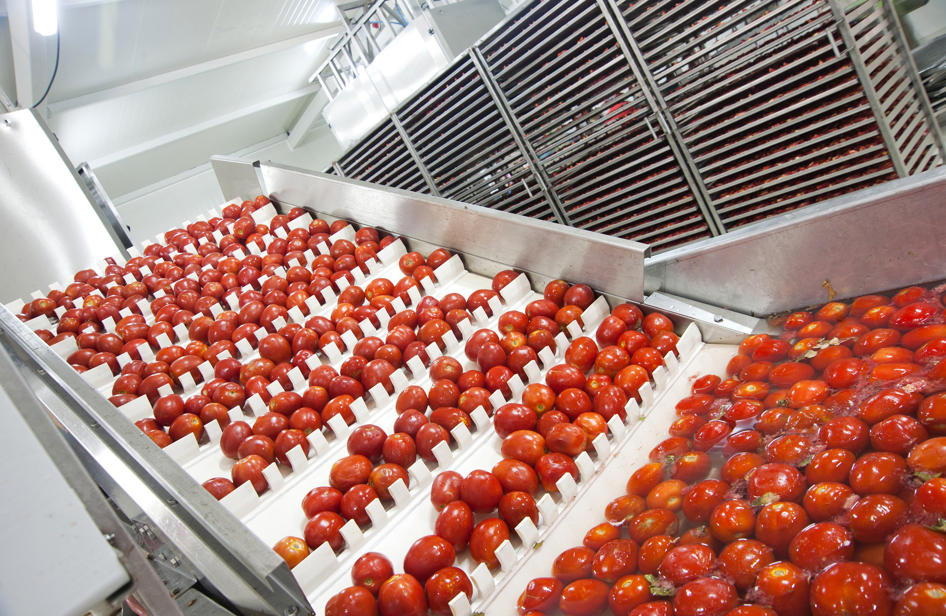 Sinteva – Innovación y crecimiento industrial